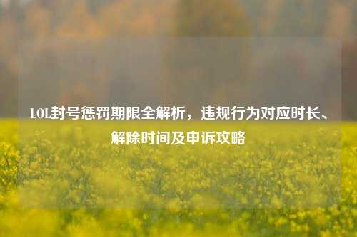LOL封号惩罚期限全解析,违规行为对应时长、解除时间及申诉攻略