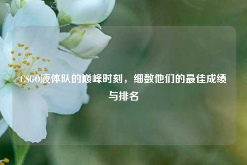 CSGO液体队的巅峰时刻,细数他们的更佳成绩与排名