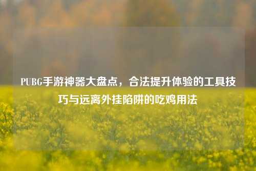 PUBG手游神器大盘点,合法提升体验的工具技巧与远离外挂陷阱的吃鸡用法