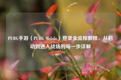 PUBG手游(PUBG Mobile)登录全流程教程,从启动到进入战场的每一步详解