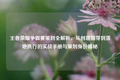 王者荣耀争霸赛策划全解析,从创意萌芽到落地执行的实战手册与策划身份揭秘