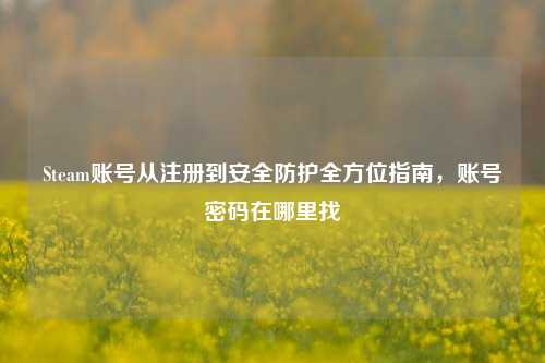 Steam账号从注册到安全防护全方位指南,账号密码在哪里找