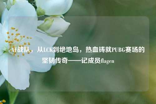 AF战队,从LCK到绝地岛,热血铸就PUBG赛场的坚韧传奇——记成员flagen