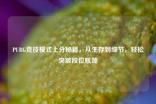 PUBG竞技模式上分秘籍,从生存到细节,轻松突破段位瓶颈
