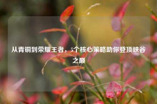 从青铜到荣耀王者,5个核心策略助你登顶峡谷之巅