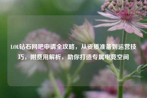 LOL钻石网吧申请全攻略,从资质准备到运营技巧,附费用解析,助你打造专属电竞空间