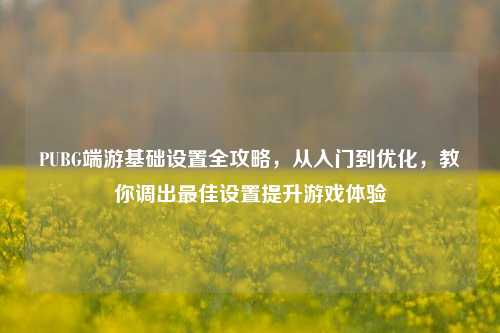 PUBG端游基础设置全攻略,从入门到优化,教你调出更佳设置提升游戏体验