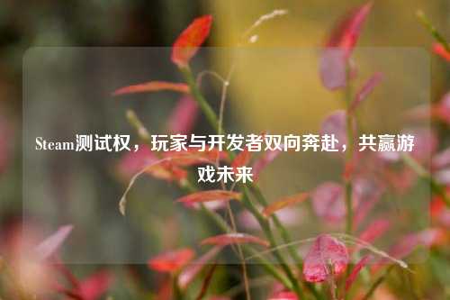 Steam测试权,玩家与开发者双向奔赴,共赢游戏未来