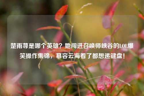 楚雨荨是哪个英雄?她闯进召唤师峡谷的LOL爆笑操作集锦,慕容云海看了都想递键盘!