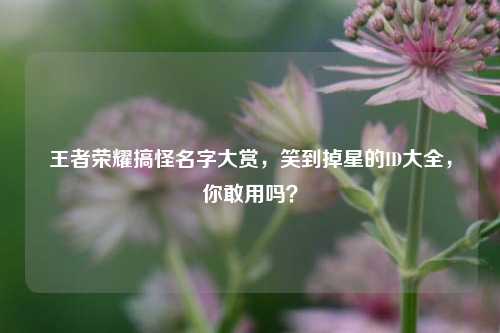 王者荣耀搞怪名字大赏,笑到掉星的ID大全,你敢用吗?