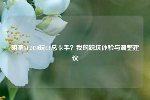 明基XL2430玩CF总卡手?我的踩坑体验与调整建议