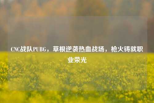 CNC战队PUBG,草根逆袭热血战场,枪火铸就职业荣光