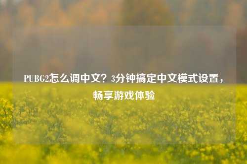 PUBG2怎么调中文?3分钟搞定中文模式设置,畅享游戏体验