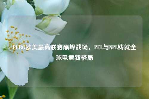PUBG欧美更高联赛巅峰战场,PEL与NPL铸就全球电竞新格局