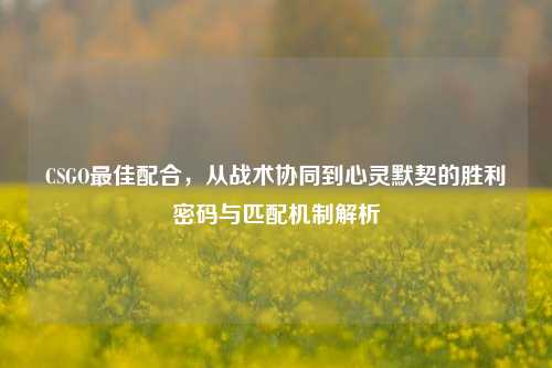 CSGO更佳配合,从战术协同到心灵默契的胜利密码与匹配机制解析