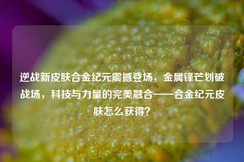 逆战新皮肤合金纪元震撼登场,金属锋芒划破战场,科技与力量的完美融合——合金纪元皮肤怎么获得?