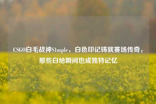 CSGO白毛战神S1mple,白色印记铸就赛场传奇,那些白给瞬间也成独特记忆