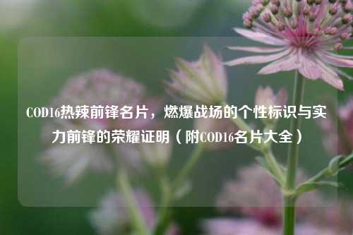 COD16热辣前锋名片,燃爆战场的个性标识与实力前锋的荣耀证明(附COD16名片大全)