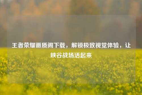 王者荣耀画质阁下载,解锁极致视觉体验,让峡谷战场活起来
