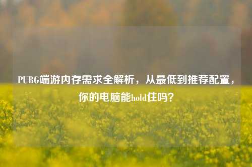 PUBG端游内存需求全解析,从更低到推荐配置,你的电脑能hold住吗?