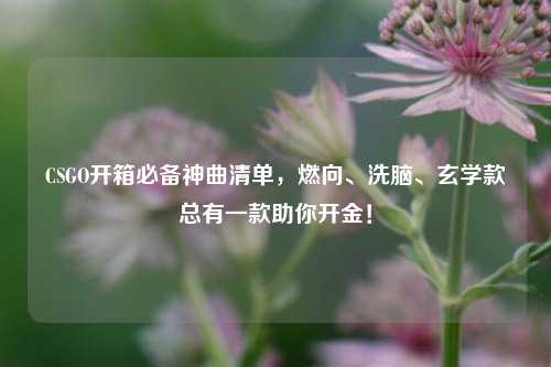 CSGO开箱必备神曲清单,燃向、***、玄学款总有一款助你开金!