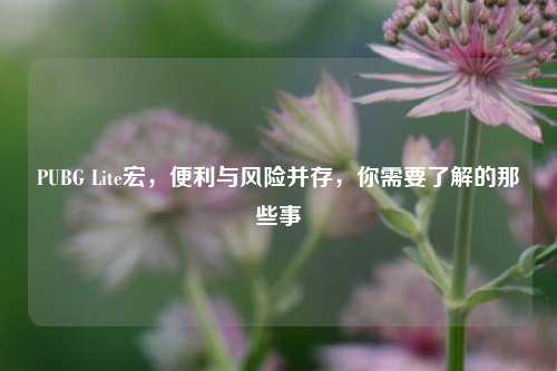PUBG Lite宏,便利与风险并存,你需要了解的那些事