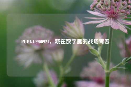 PUBG19900921,藏在数字里的战场青春