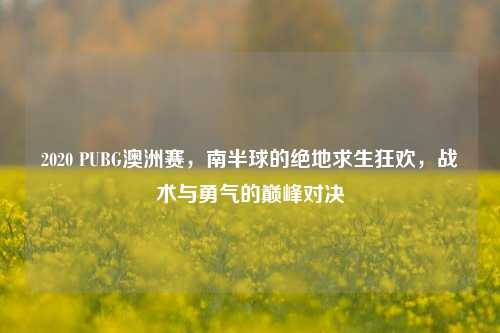 2020 PUBG澳洲赛,南半球的绝地求生狂欢,战术与勇气的巅峰对决