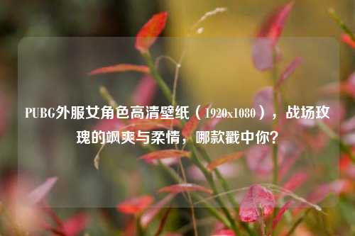 PUBG外服女角色高清壁纸(1920x1080),战场玫瑰的飒爽与柔情,哪款戳中你?