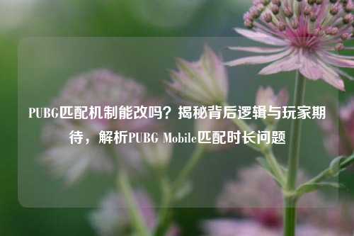 PUBG匹配机制能改吗?揭秘背后逻辑与玩家期待,解析PUBG Mobile匹配时长问题