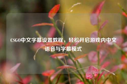 CSGO中文字幕设置教程,轻松开启游戏内中文语音与字幕模式