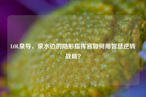 LOL泉导,泉水边的隐形指挥官如何用智慧逆转战局?