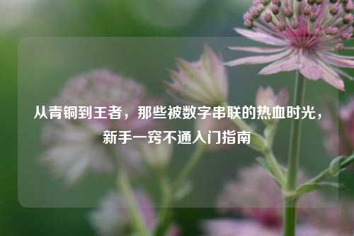 从青铜到王者,那些被数字串联的热血时光,新手一窍不通入门指南