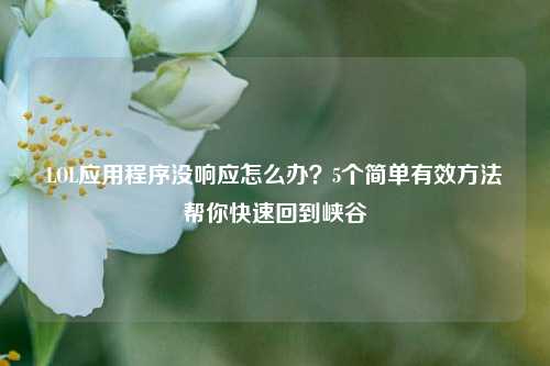 LOL应用程序没响应怎么办?5个简单有效 帮你快速回到峡谷