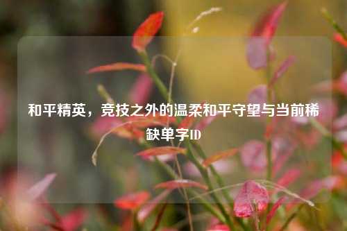 和平精英,竞技之外的温柔和平守望与当前稀缺单字ID