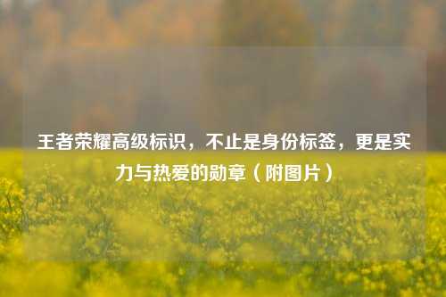 王者荣耀高级标识,不止是身份标签,更是实力与热爱的勋章(附图片)