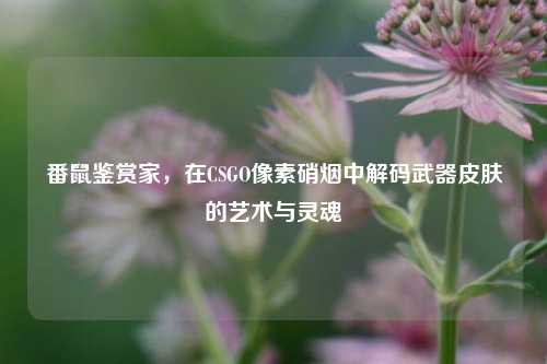 番鼠鉴赏家,在CSGO像素硝烟中解码武器皮肤的艺术与灵魂