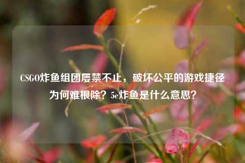 CSGO炸鱼组团屡禁不止,破坏公平的游戏捷径为何难根除?5e炸鱼是什么意思?
