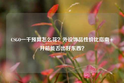CSGO一千预算怎么花?外设饰品性价比指南+开箱能否出好东西?