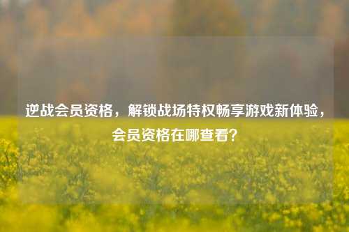 逆战会员资格,解锁战场特权畅享游戏新体验,会员资格在哪查看?