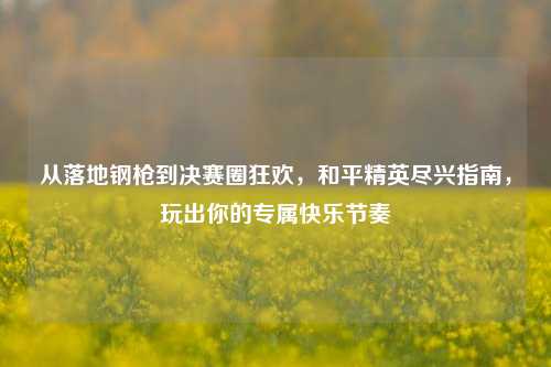 从落地钢枪到决赛圈狂欢,和平精英尽兴指南,玩出你的专属快乐节奏