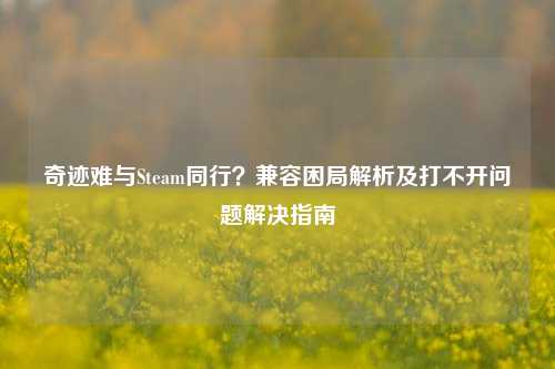 奇迹难与Steam同行?兼容困局解析及打不开问题解决指南