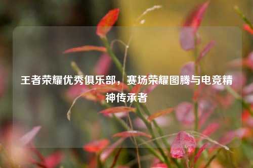 王者荣耀优秀俱乐部,赛场荣耀图腾与电竞精神传承者