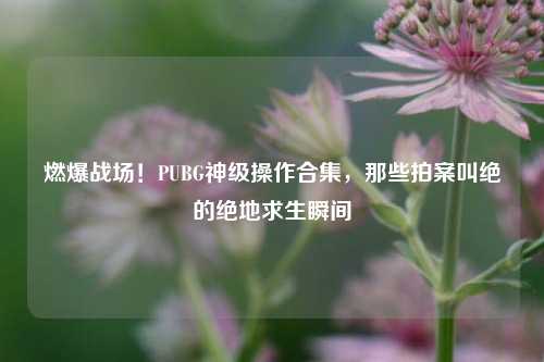 燃爆战场!PUBG神级操作合集,那些拍案叫绝的绝地求生瞬间