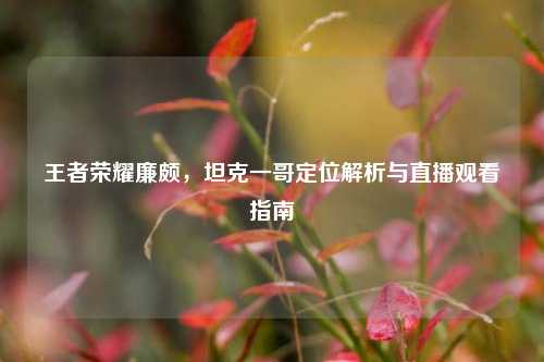 王者荣耀廉颇,坦克一哥定位解析与直播观看指南