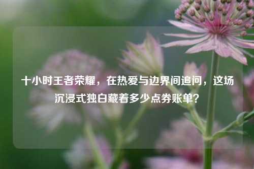 十小时王者荣耀,在热爱与边界间追问,这场沉浸式独白藏着多少点券账单?