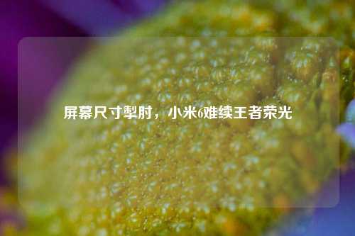 屏幕尺寸掣肘,小米6难续王者荣光
