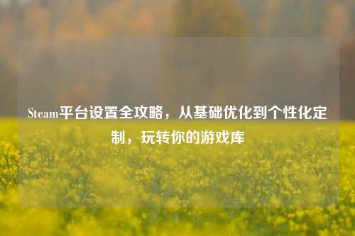 Steam平台设置全攻略,从基础优化到个性化定制,玩转你的游戏库