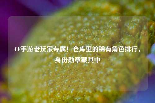 CF手游老玩家专属!仓库里的稀有角色排行,身份勋章藏其中