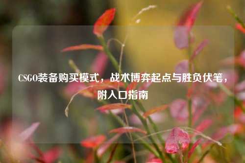 CSGO装备购买模式,战术博弈起点与胜负伏笔,附入口指南